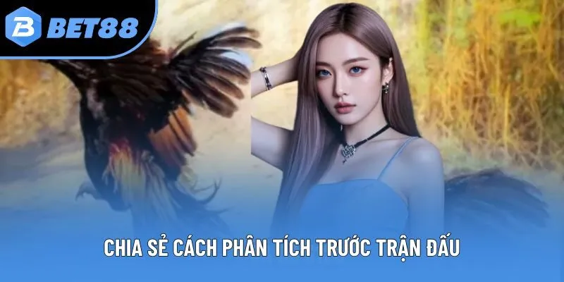 Chia sẻ cách phân tích trước trận đấu