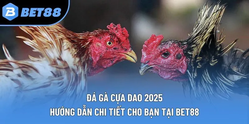 Đá Gà Cựa Dao 2025: Hướng Dẫn Chi Tiết Cho Bạn Tại Bet88