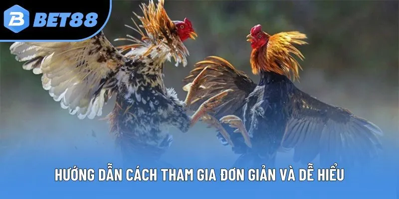 Hướng dẫn cách tham gia đơn giản và dễ hiểu