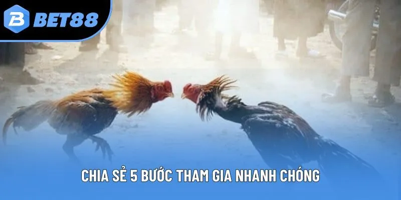 Chia sẻ 5 bước tham gia nhanh chóng