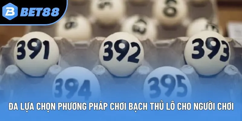 Đa lựa chọn phương pháp chơi bạch thủ lô cho người chơi