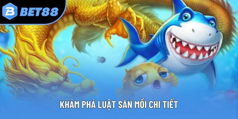 Khám phá luật săn mồi chi tiết