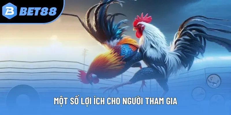 Một số lợi ích cho người tham gia