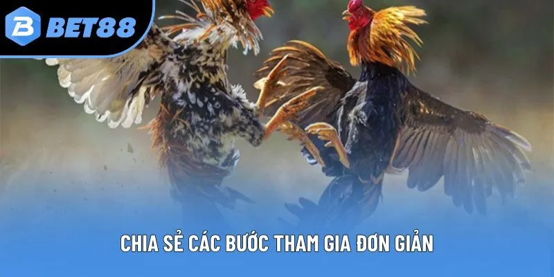 Chia sẻ các bước tham gia đơn giản