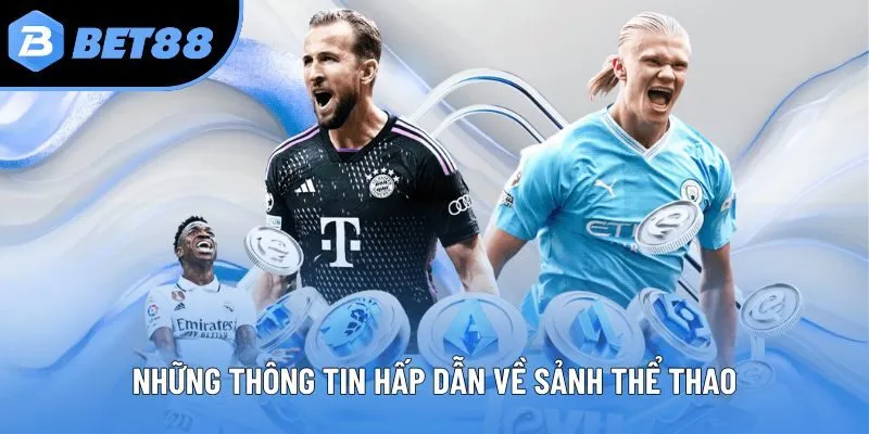 Những thông tin hấp dẫn về sảnh thể thao