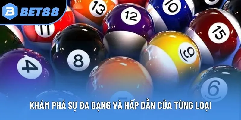 Khám phá sự đa dạng và hấp dẫn của từng loại